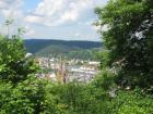 thumbs/IMG_3870.JPG.jpg